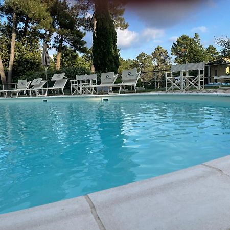 Apartamento Tuscany Relax H&H - Helly House San Vivaldo Exterior foto