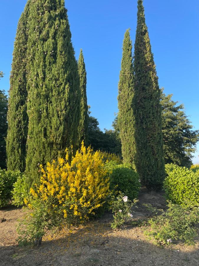 Apartamento Tuscany Relax H&H - Helly House San Vivaldo Exterior foto